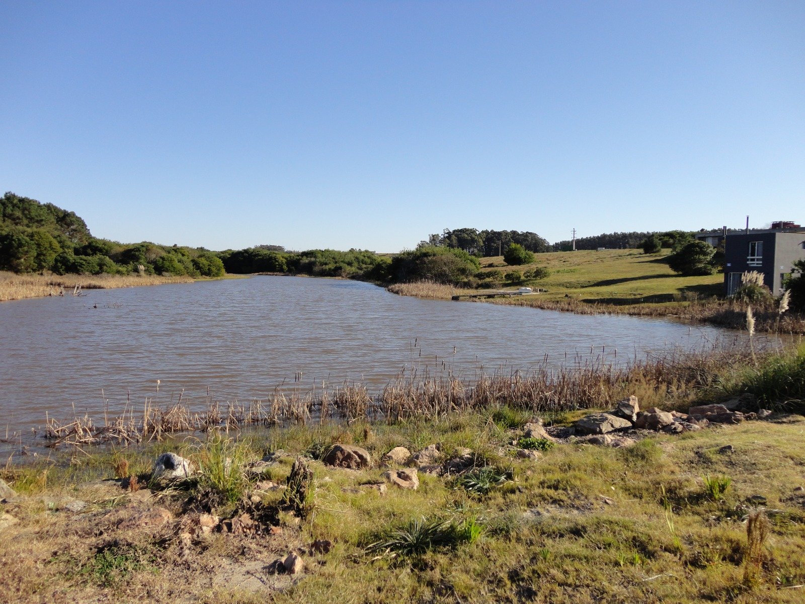 WhatsApp Image 2026-01-06 at 5.34.31 PM (1)