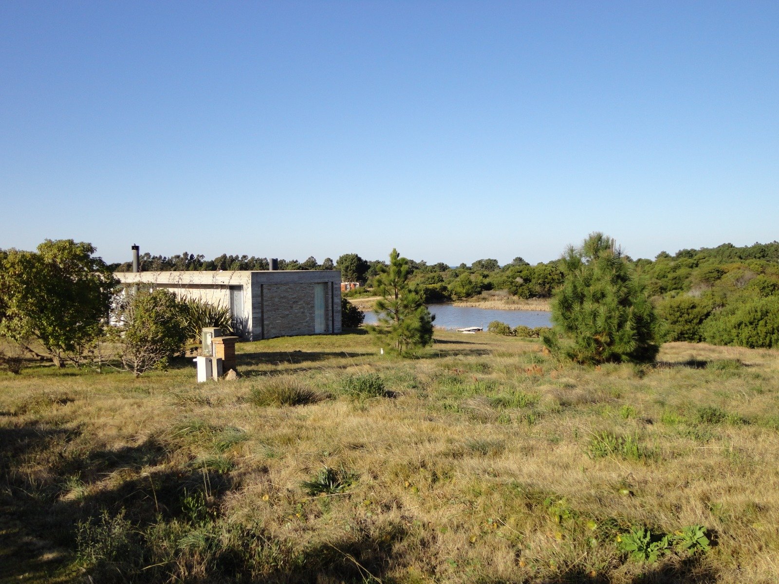 WhatsApp Image 2026-01-06 at 8.31.33 PM (1)