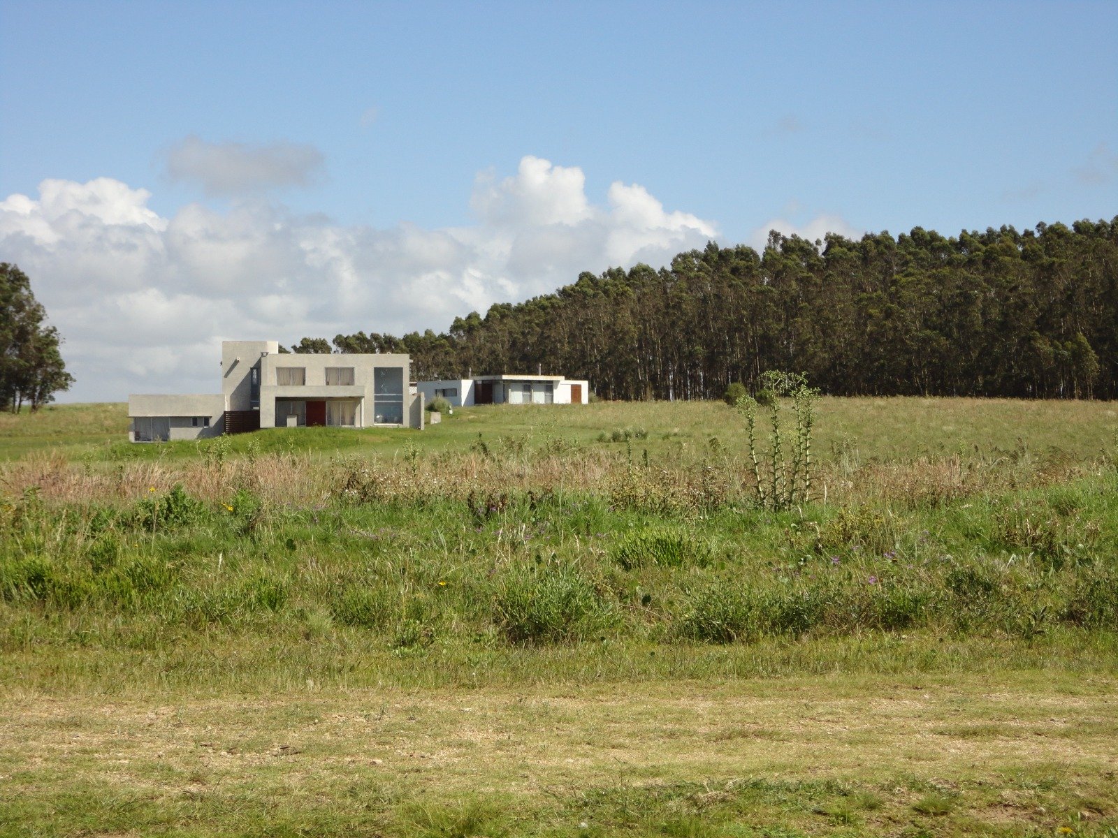 WhatsApp Image 2026-01-06 at 8.31.34 PM (5)